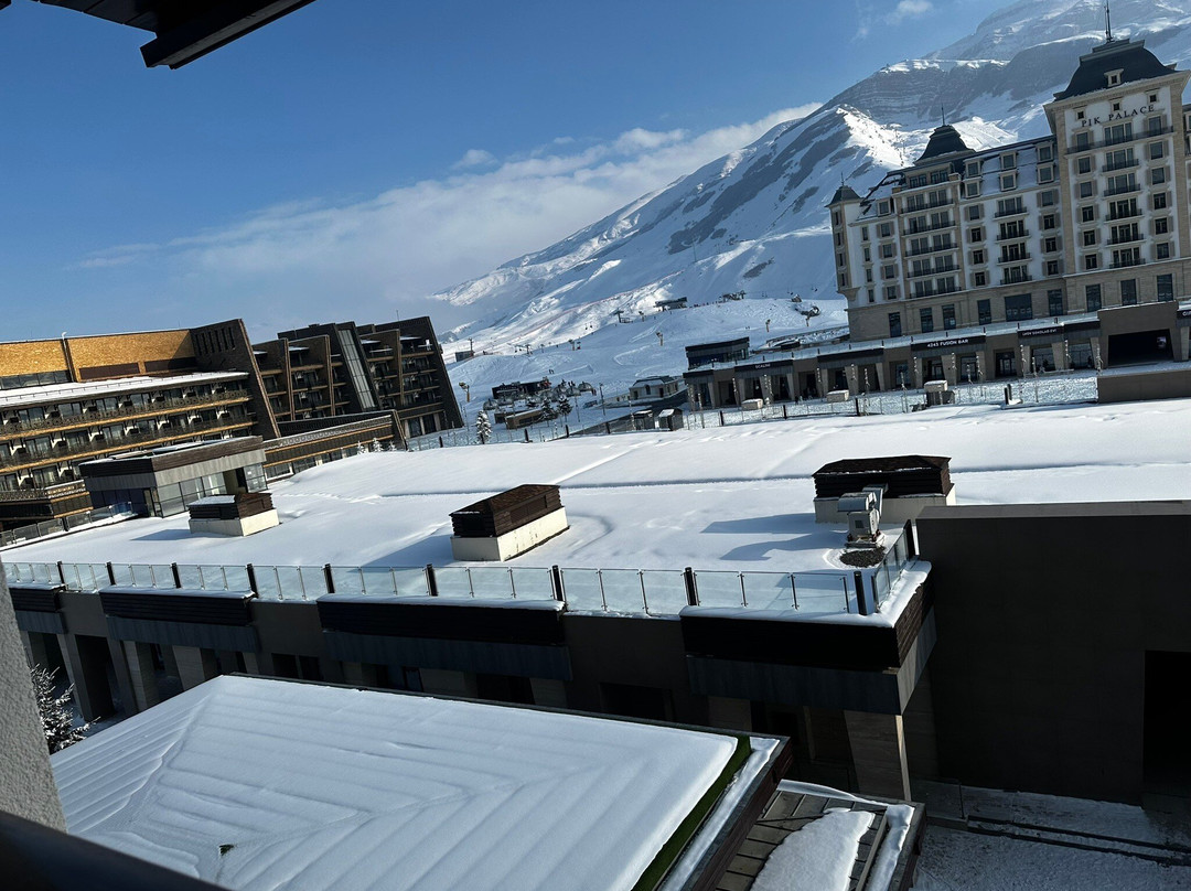 Park Chalet Hotel主图