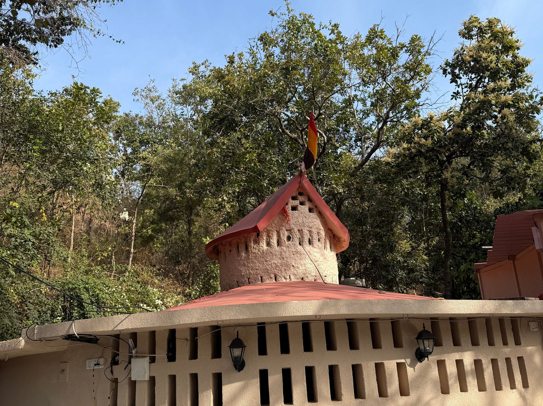 Jungle Ghar