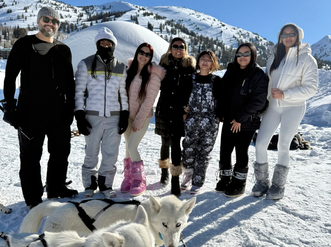 Call of the WYld Dogsled Tours-提顿村必去景点