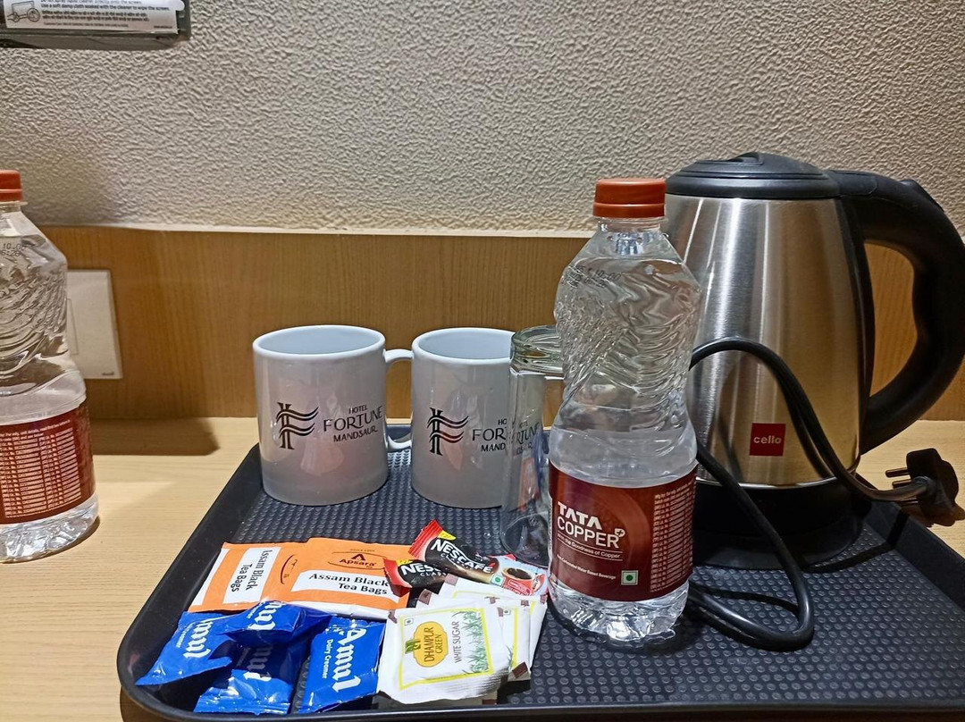 Hotel Fortune Mandsaur