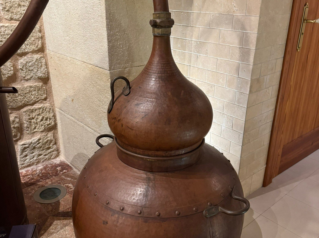 Bodegas Cerda景点图片