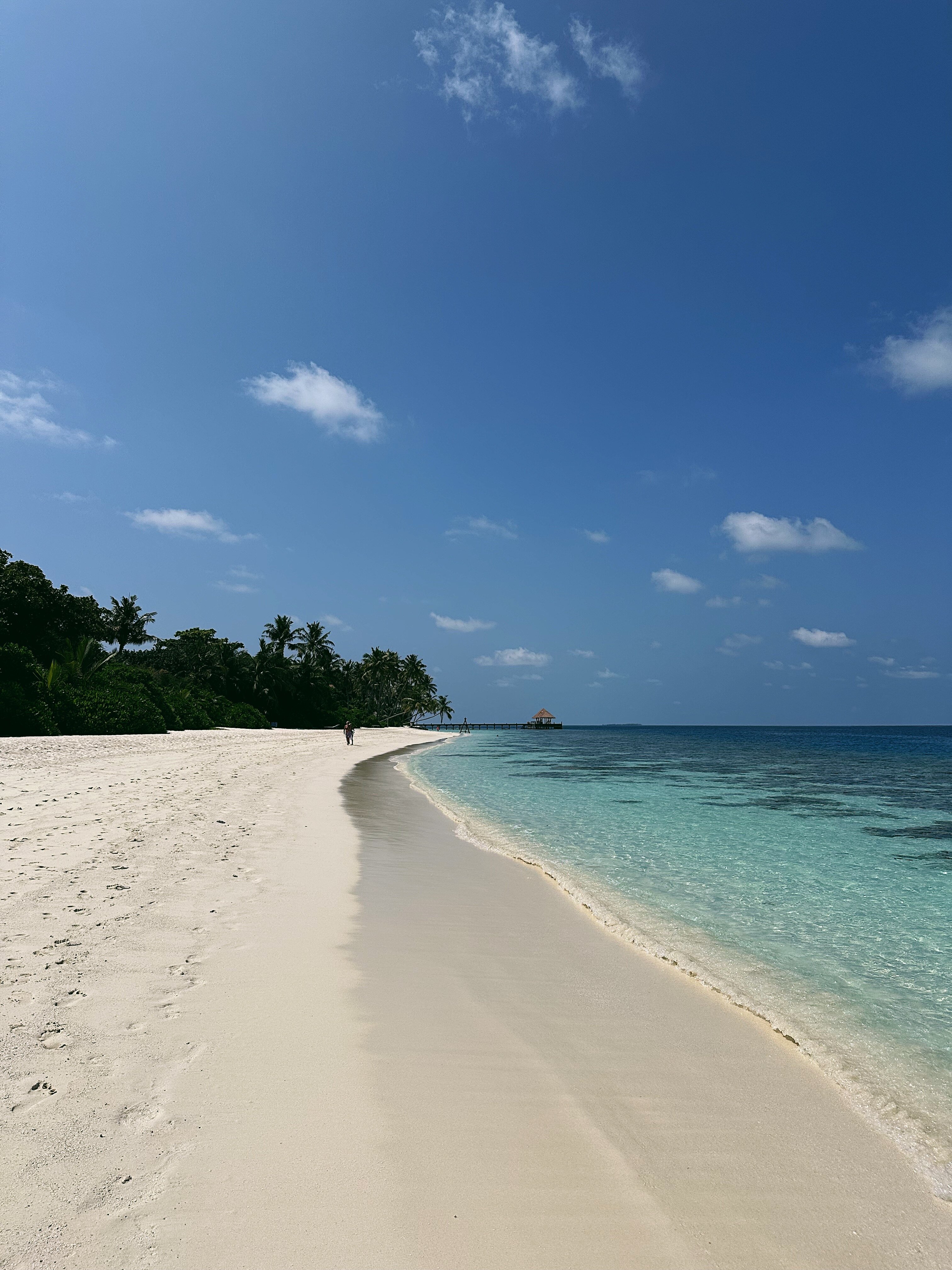 Reethi Faru Resort-泳池