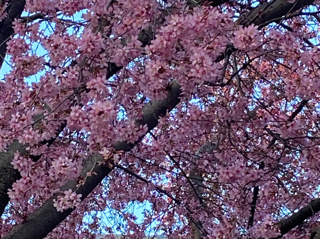 艾利乔治敦酒店 主图