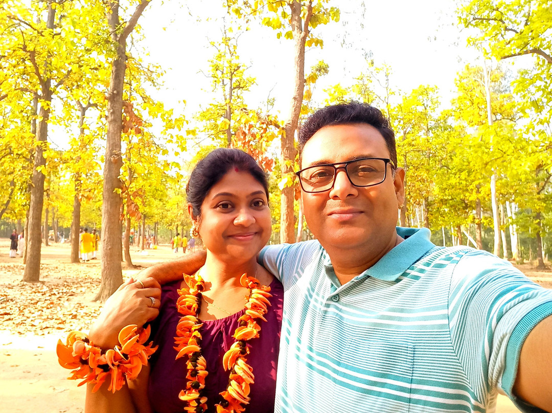 Sonajhuri Forest景点图片