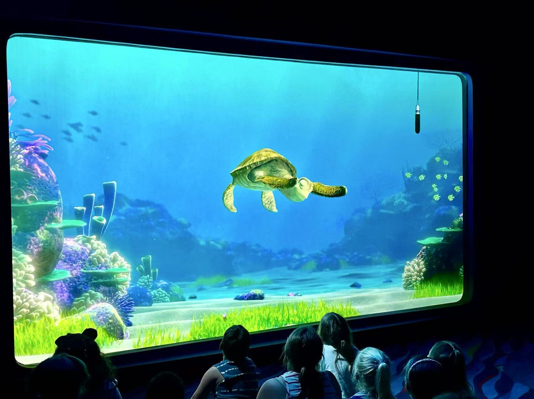 Turtle Talk with Crush-阿纳海姆必去景点