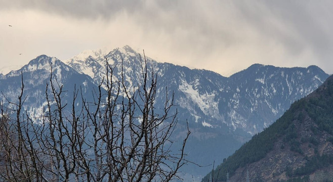 Baragarh Resort and Spa Manali- IHCL SeleQtions主图