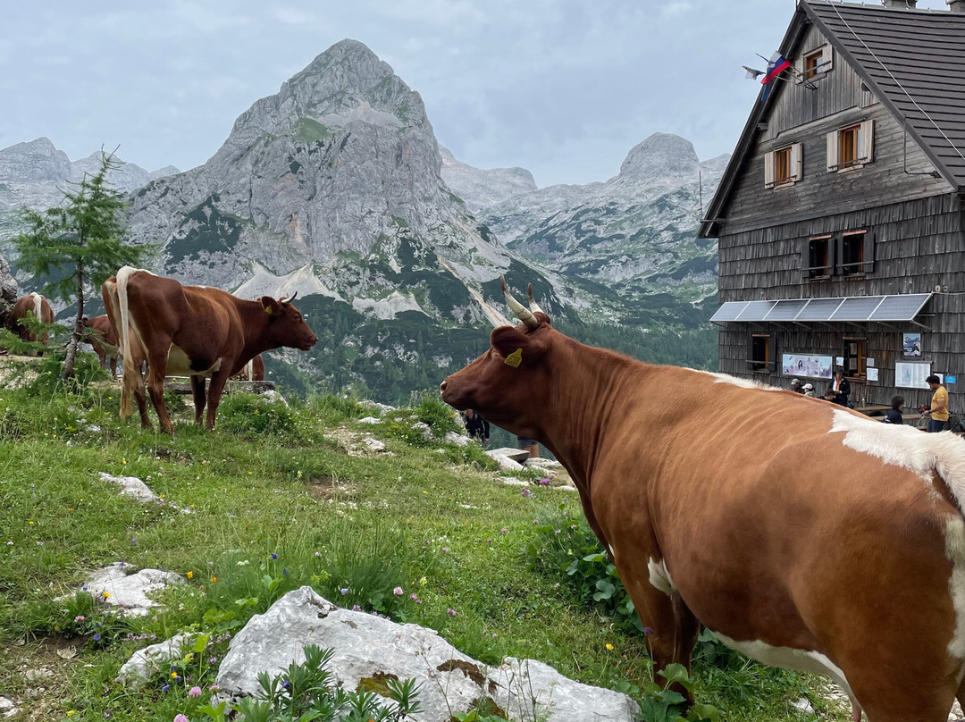 Hotel Gasperin Bohinj主图