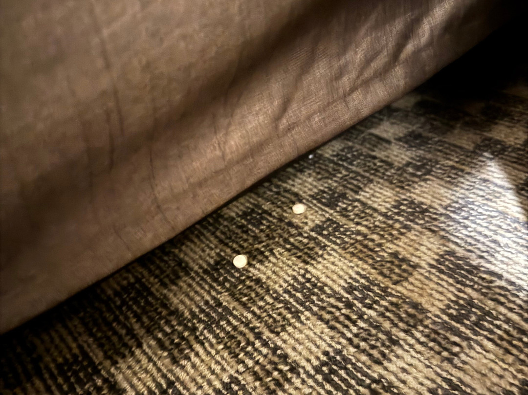 Comfort Suites Burlington Near I-5主图