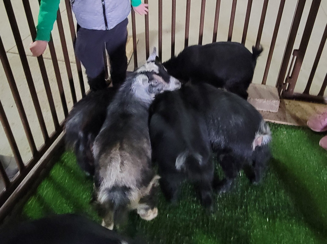 Eagle Eye Farm-River Falls必去景点