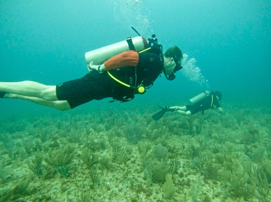 King Scuba Dive Center-从莫雷洛斯港必去景点