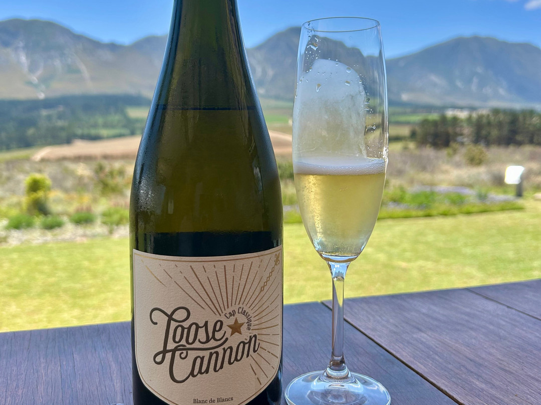 Bosman Hermanus | Frame House-赫曼努斯必去景点