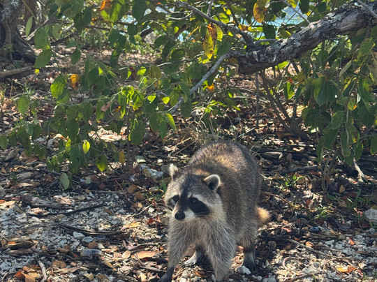 So Flo Water Adventures-North Miami必去景点