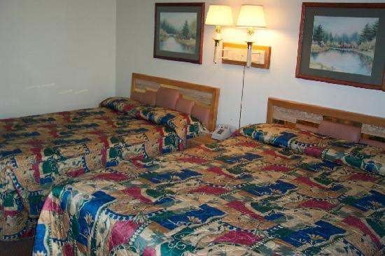 Royal Motor Inn主图