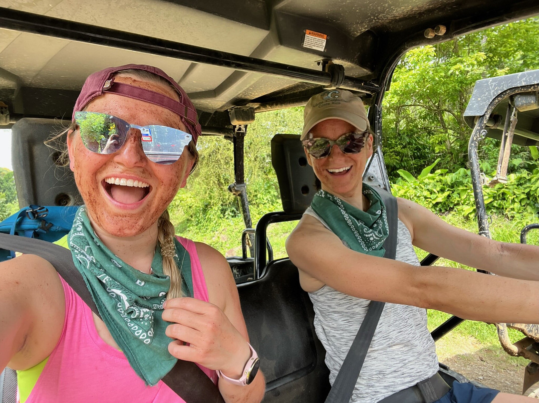 Vista Celestial主图