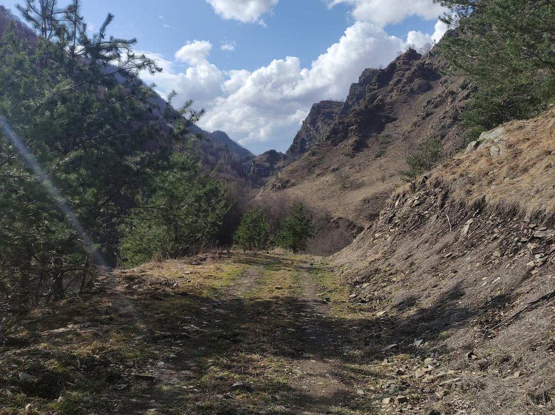 Narzan Valley景点图片