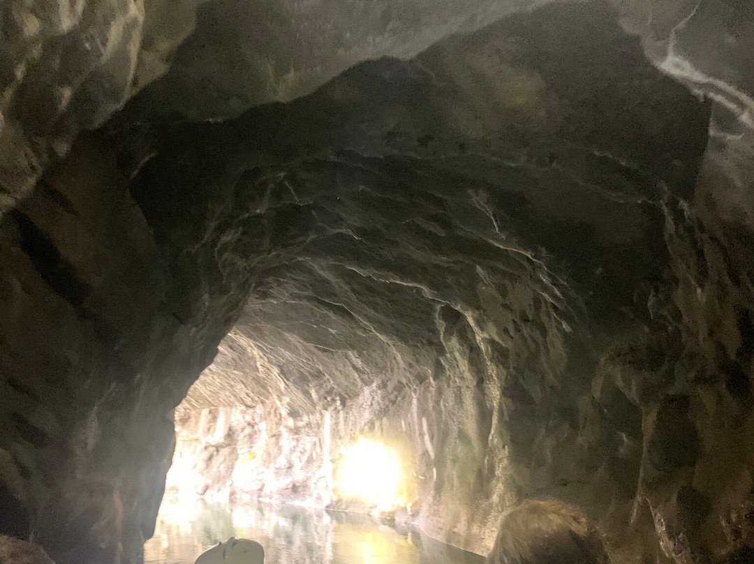 Penn's Cave & Wildlife Park景点图片