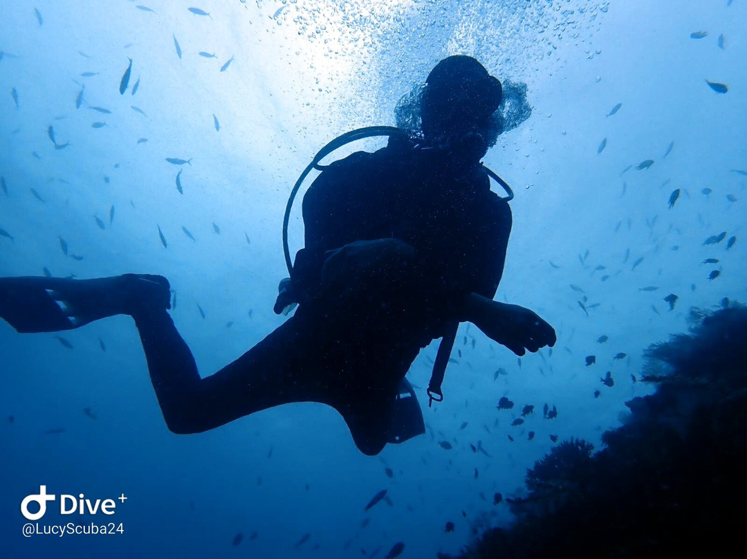 Scuba Tribe Bali-图兰本必去景点