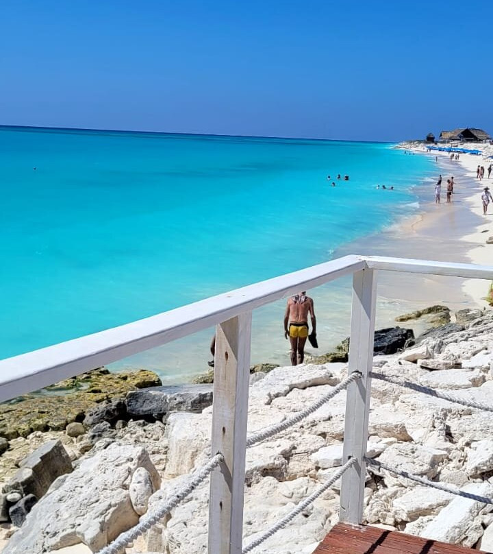 Starfish Cayo Largo主图