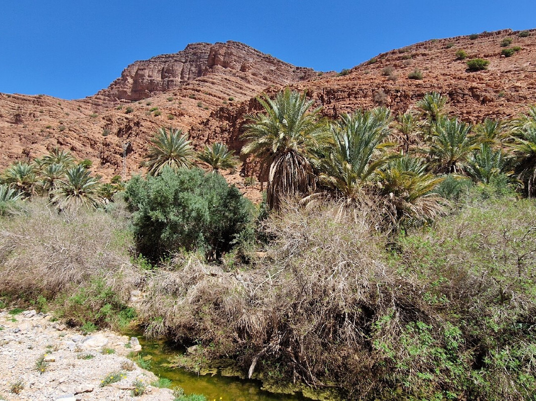 Vallee d'Ait Mansour-Tafraoute必去景点