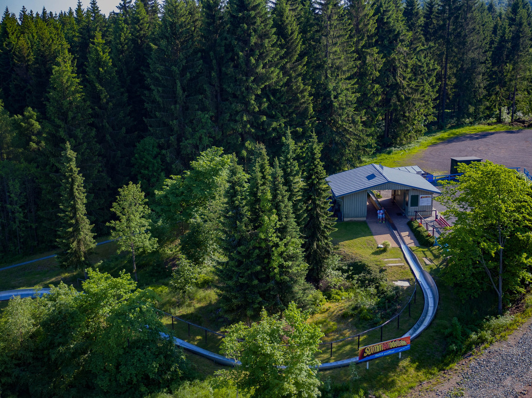 Sommerrodelbahn Mühlleithen景点图片
