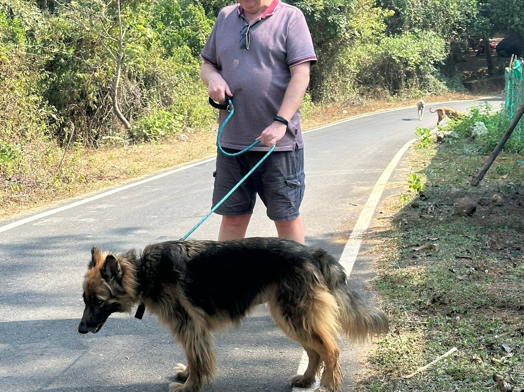 ARC Goa-格纳戈纳必去景点