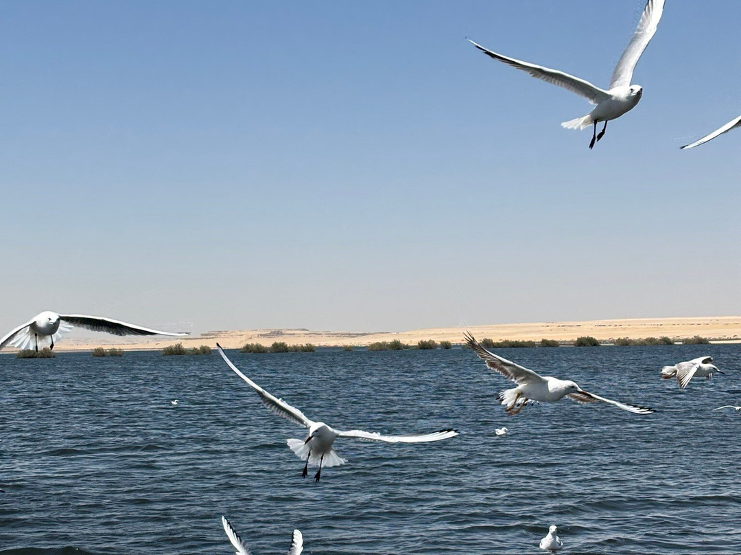 Travel all Egypt-开罗必去景点