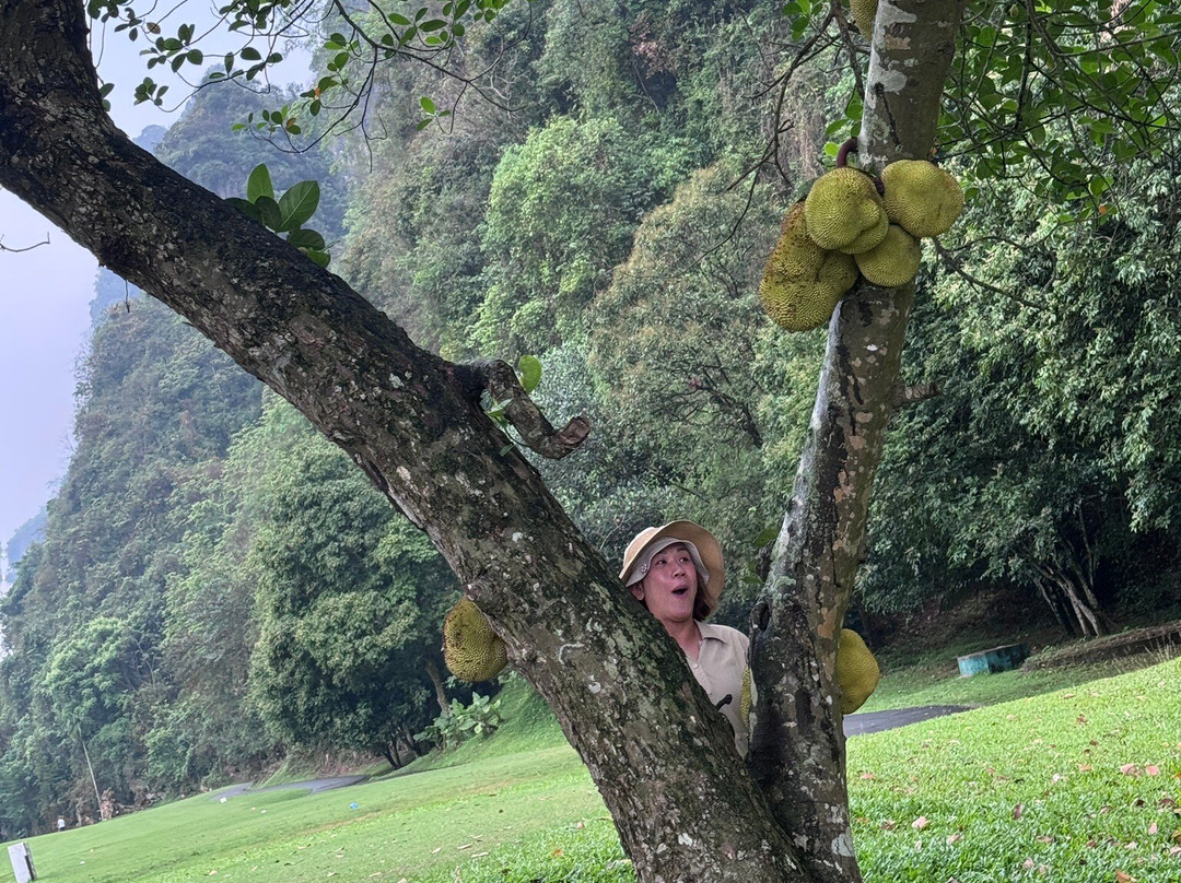 Phoenix Golf Resort-Luong Son必去景点