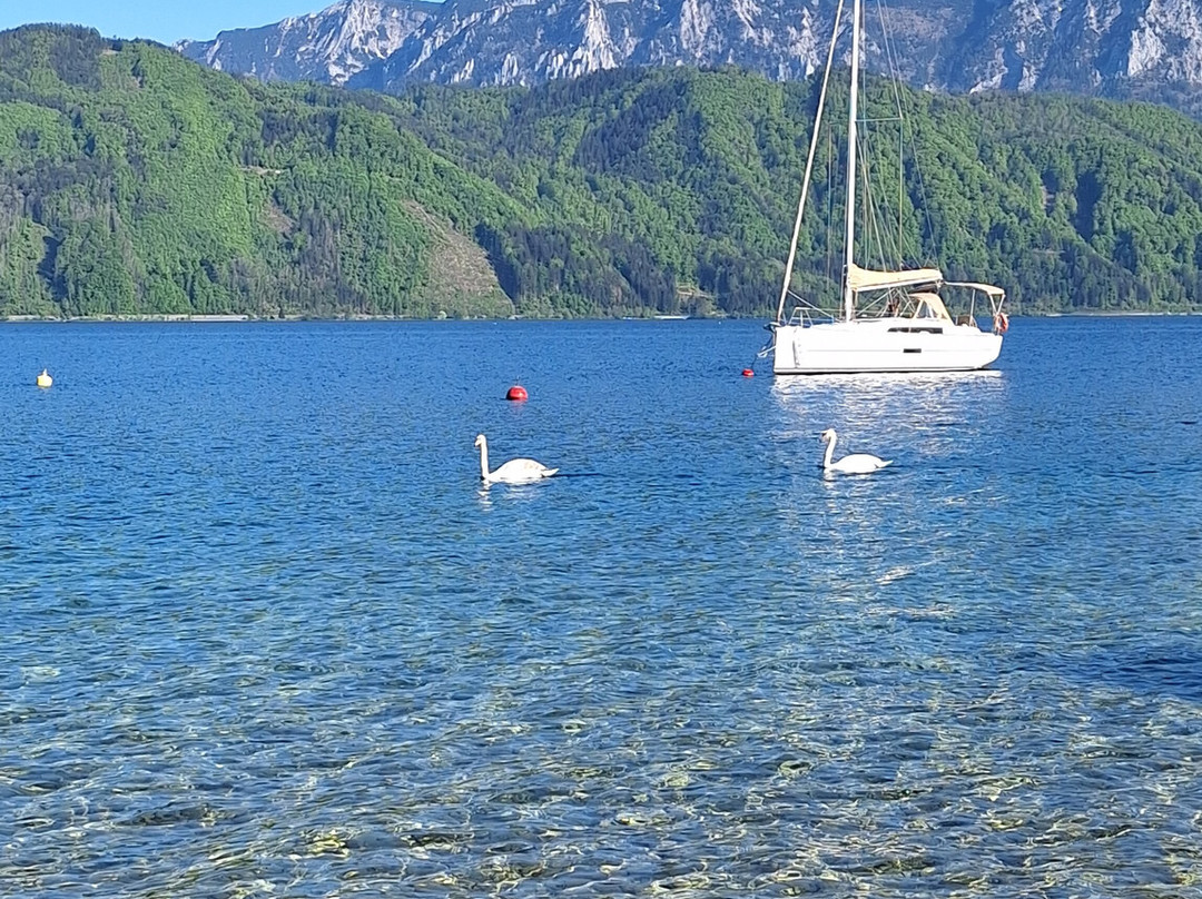 Hotel & Restaurant Ragginger Am Attersee主图