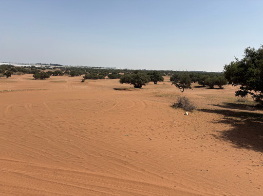 FAT CLUB Agadir-阿加迪尔必去景点