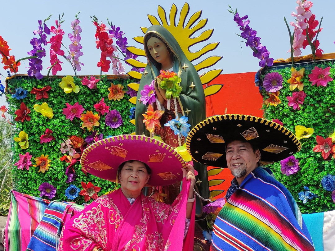 TourMate México-墨西哥城必去景点