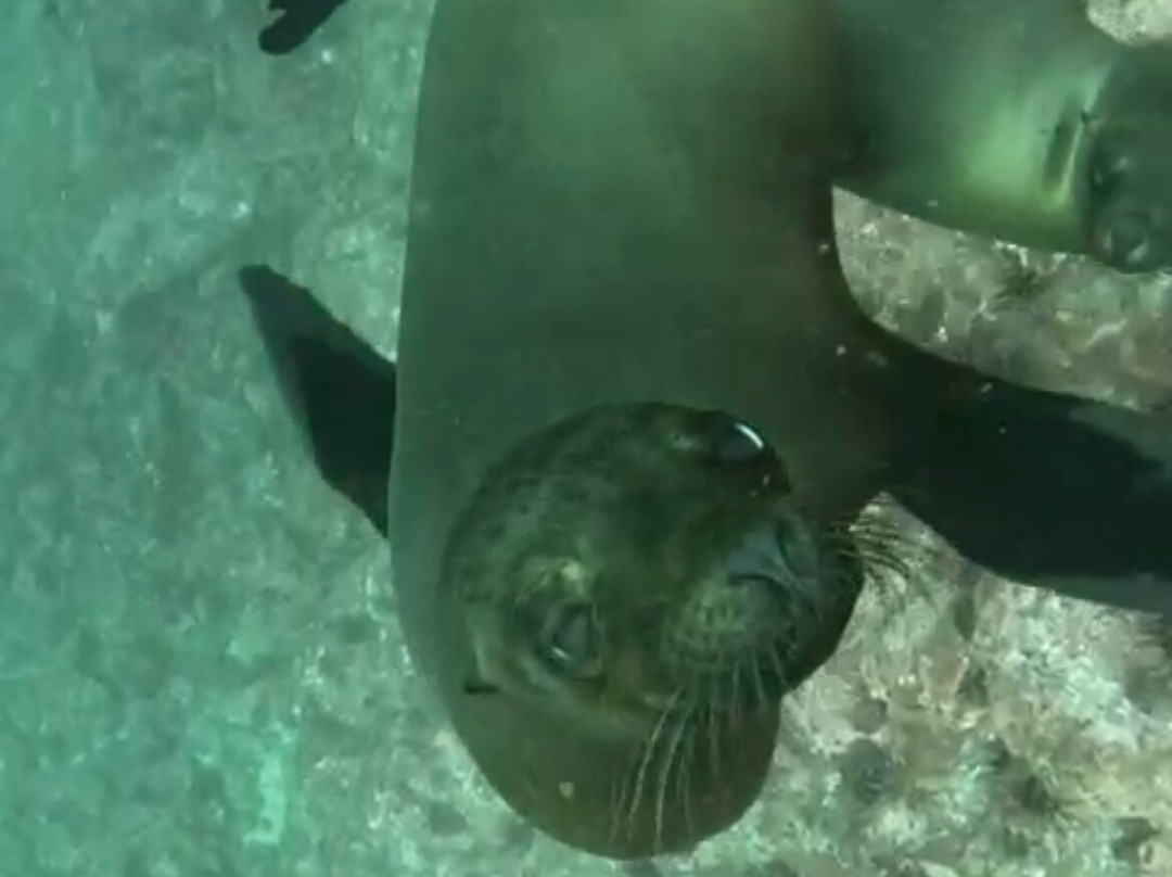 Blue Evolution-Zeeland必去景点