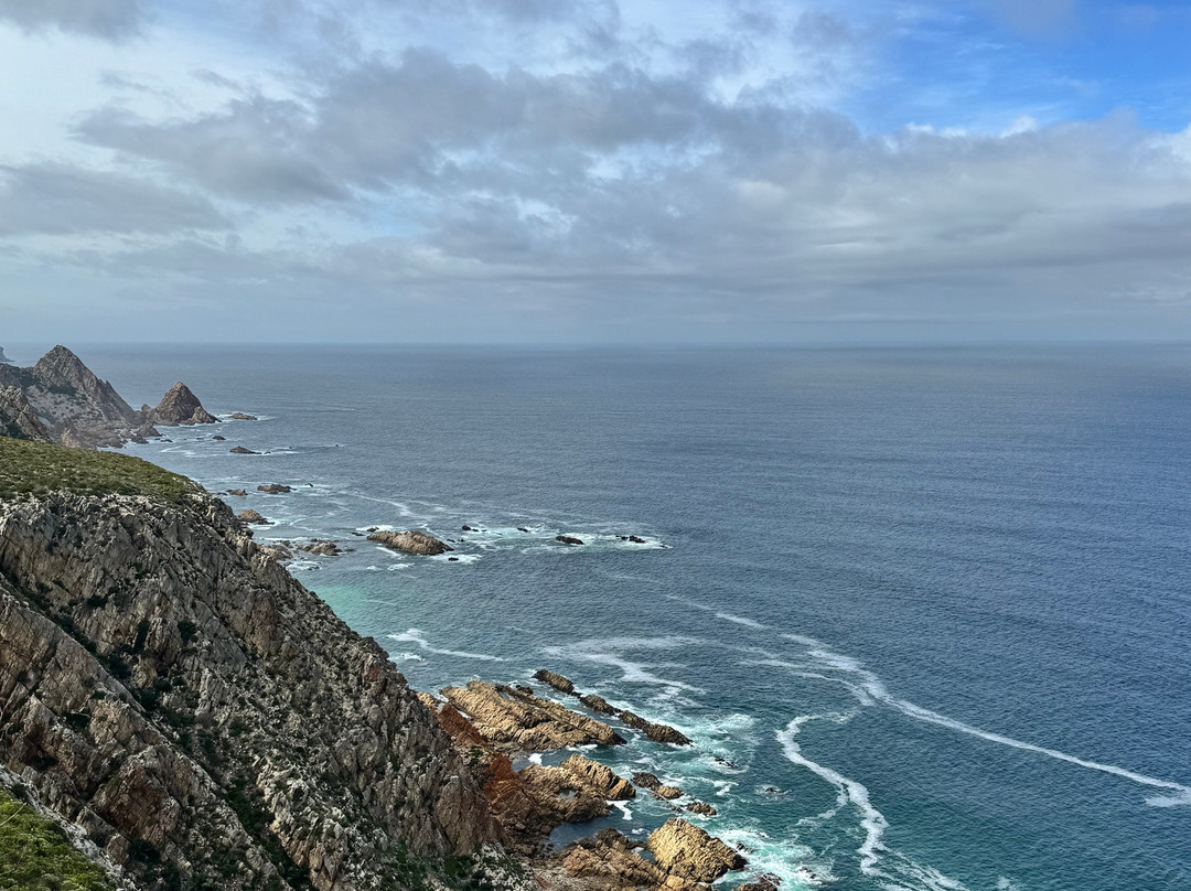 Harkerville Mountain Bike Trails-哈克城必去景点