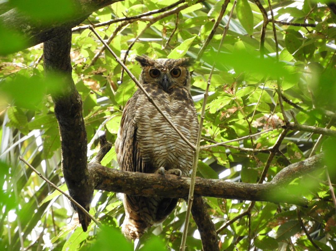 Santarém Viagens e Turismo-Santarem必去景点