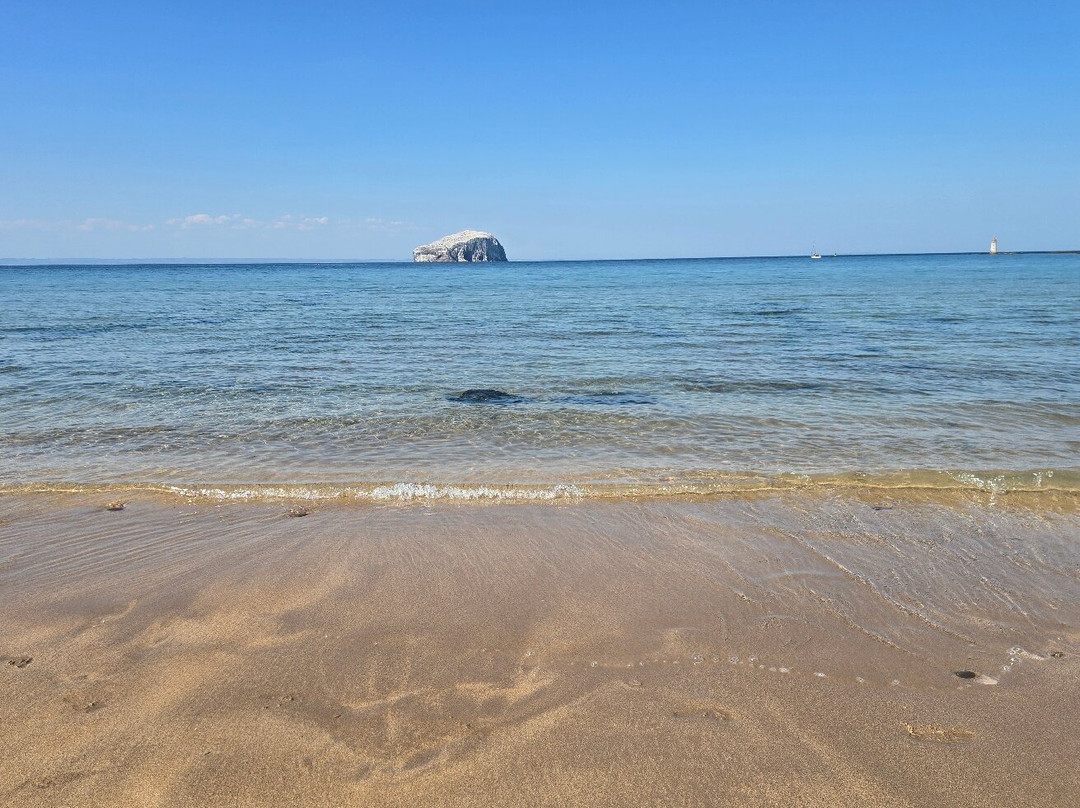 Seacliff Beach-北柏威克必去景点