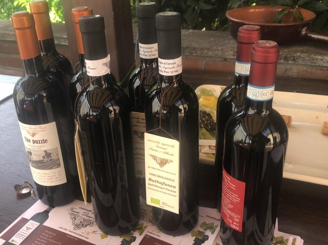 Milan Oltrepo Pavese Vineyards Grape Stomping and Wine Tasting-Robecco Pavese必去景点