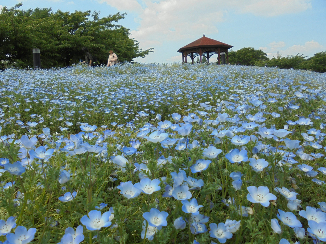 Todagawa Ryokuchi-名古屋市必去景点