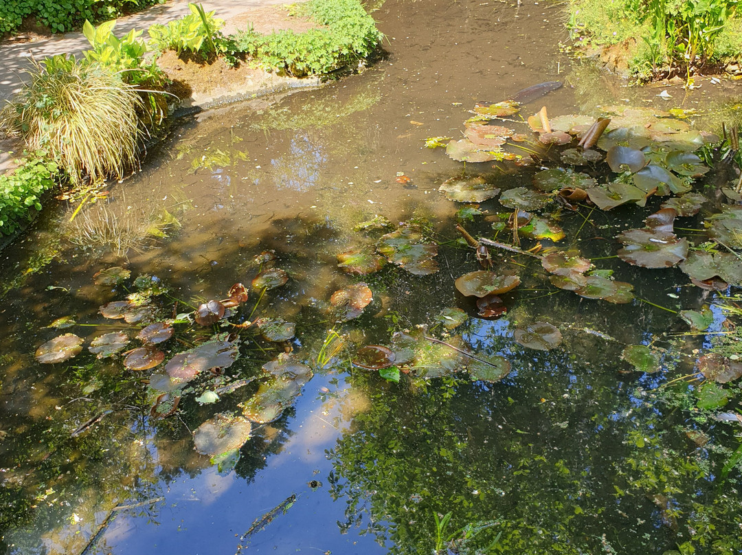 Highdown Gardens景点图片