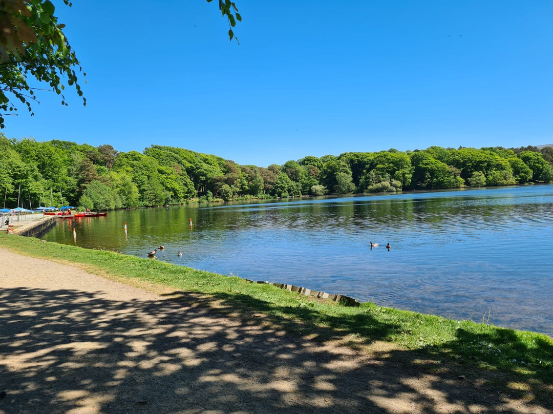 Talkin Tarn Park-卡莱尔必去景点