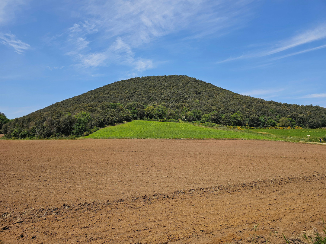 Girona Experience-赫罗那必去景点