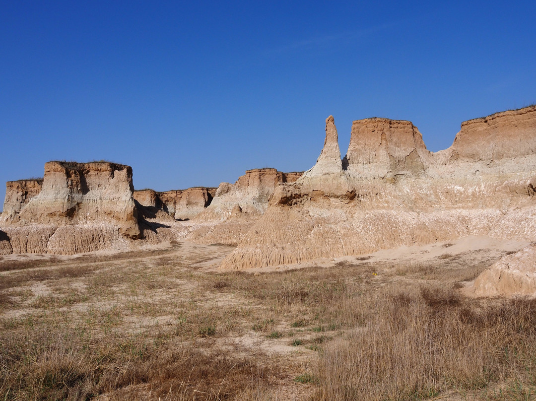 Datong Forest-大同市必去景点