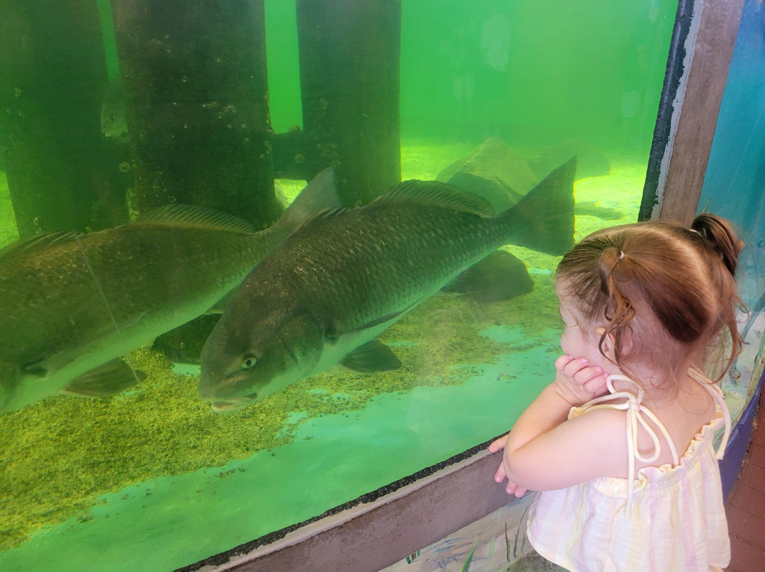 Sea Turtle, Inc.-南帕诸岛必去景点