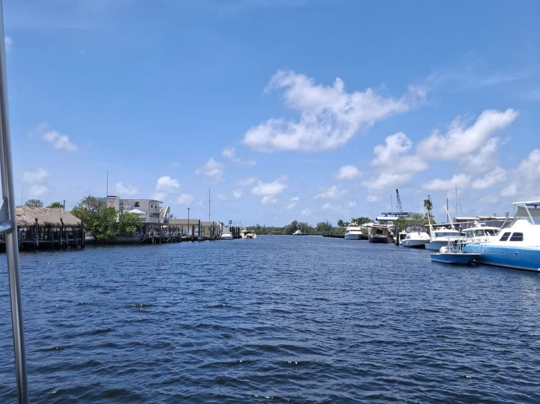 Spongeorama Sponge Factory-塔彭斯普林斯必去景点