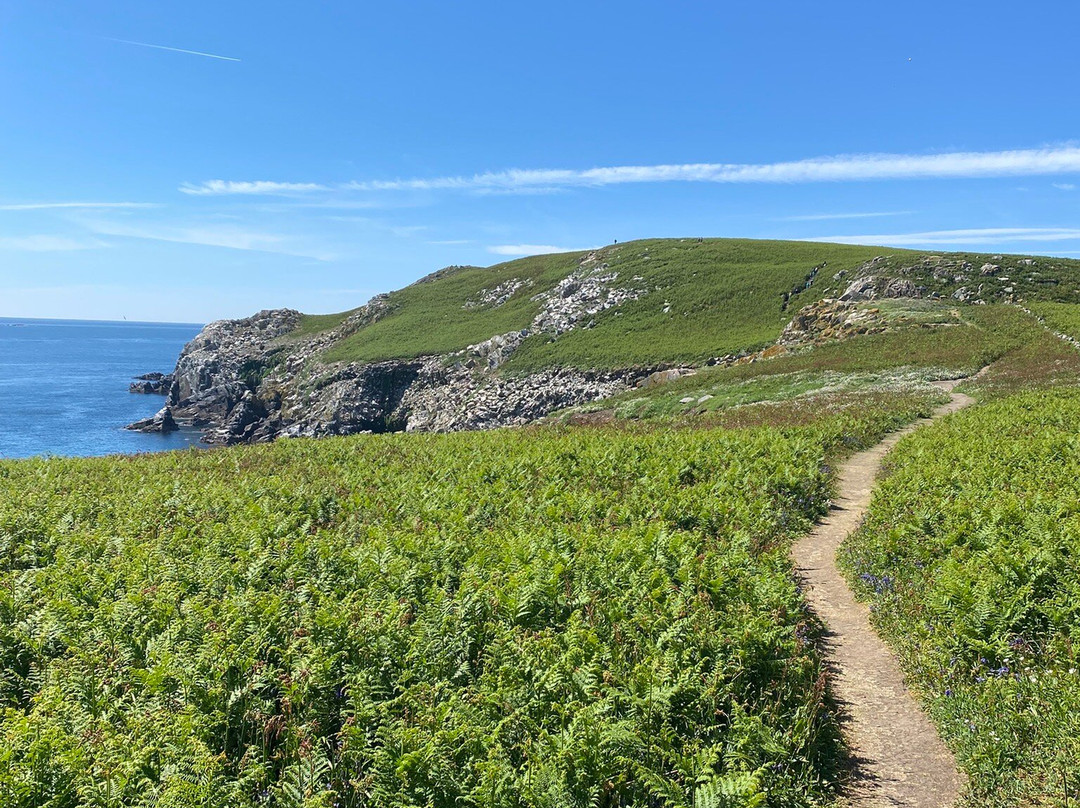 Saltee Islands-Kilmore Quay必去景点