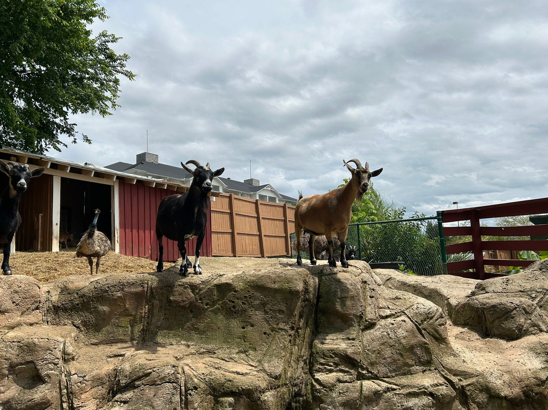 Rainforest Adventures-塞维尔维尔必去景点