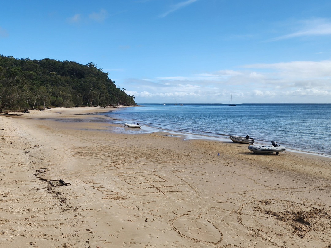 SeaLink K'gari (Fraser Island)景点图片
