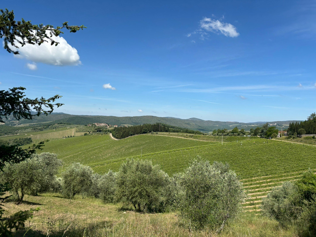Tuscany Bicycle景点图片