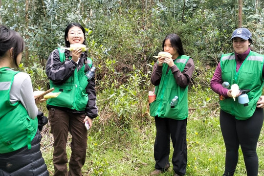 Path Travel Peru-马丘比丘必去景点