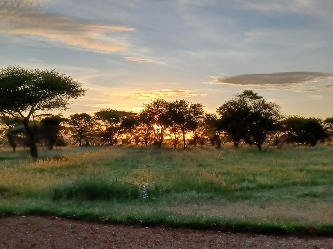 Pamoja Serengeti Luxury Camp