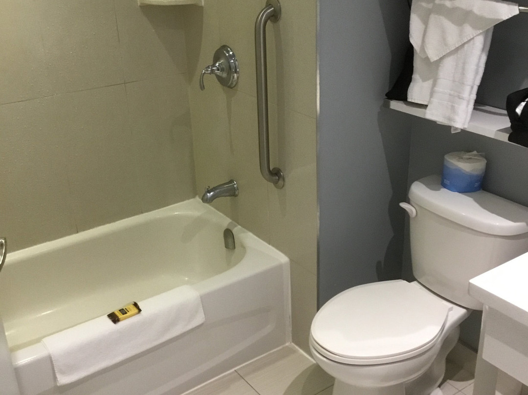 皇家橡树贝斯特韦斯特酒店主图