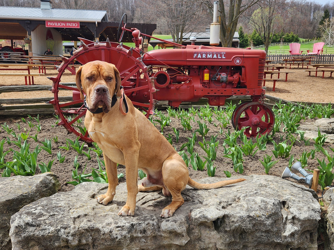 Springridge Farm-Milton必去景点